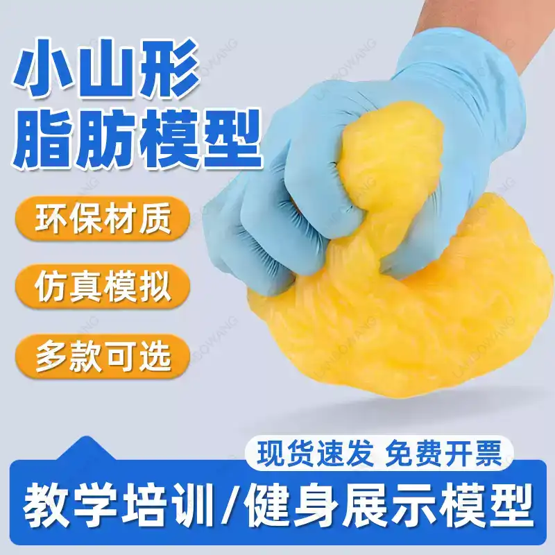 Human Muscle and Fat Replicas, - Nutrition Of Fitness 评论和价格